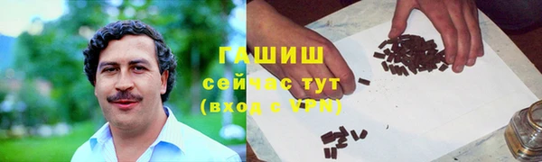 амф Снежногорск