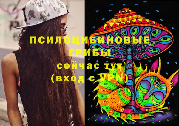 мяу мяу мука Алзамай