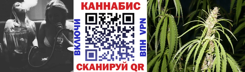 Шишки марихуана индика что такое Хотьково
